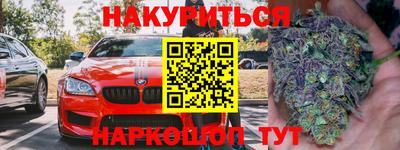 сатива Малгобек